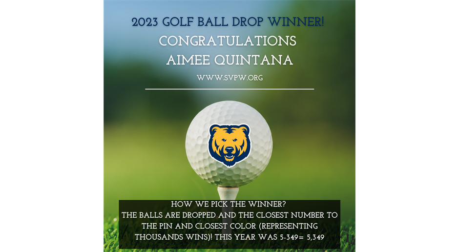 GOLF BALL WINNER